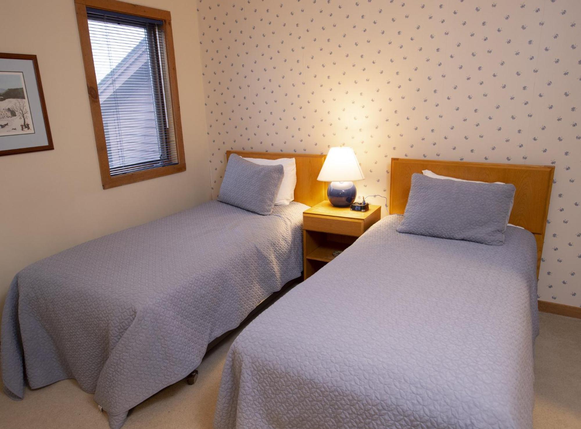 Okemo Mountain Lodging Ладлоу Экстерьер фото