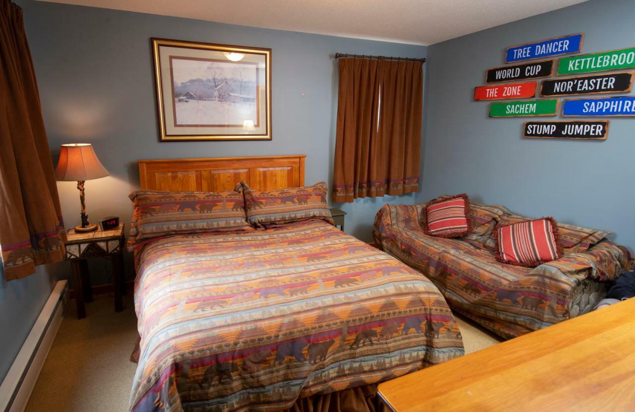 Okemo Mountain Lodging Ладлоу Экстерьер фото